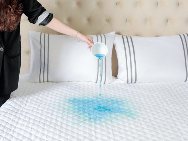 Bảo vệ đệm Chống thấm Visinco Trắng trơn